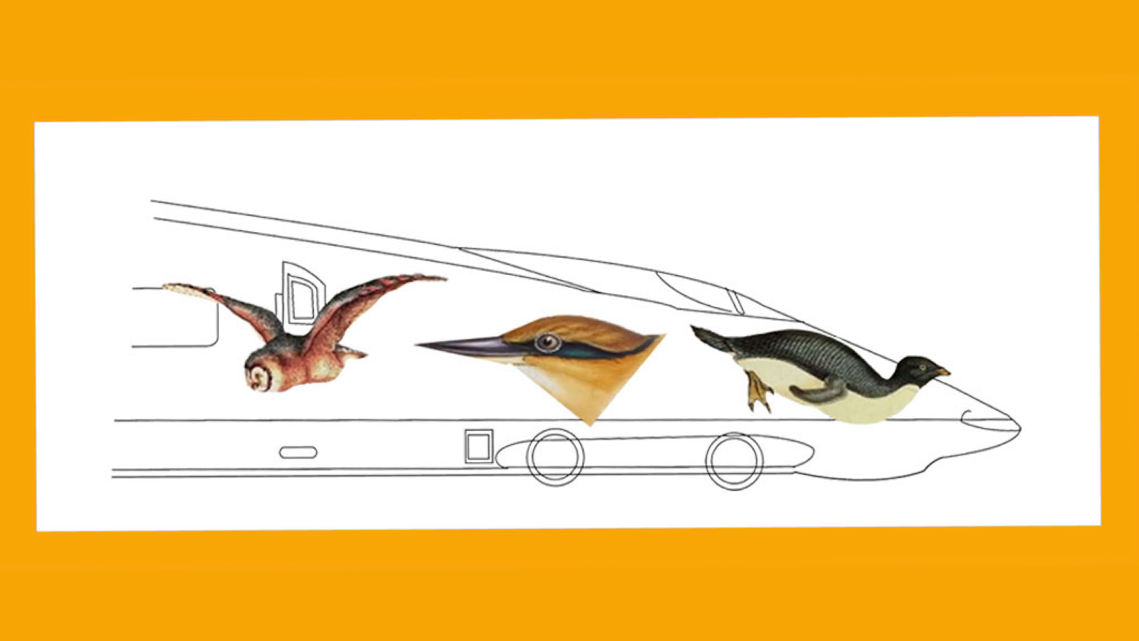 Train Design - Natural Inspiration or Copyright Infringement?