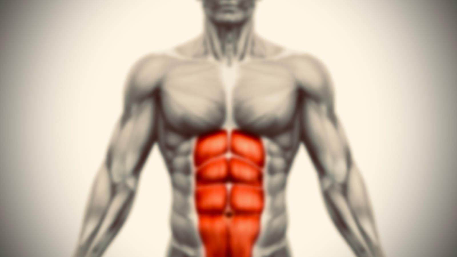 Why You Have A Six Pack (and not one massive ab)