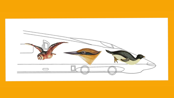 Train Design - Natural Inspiration or Copyright Infringement?