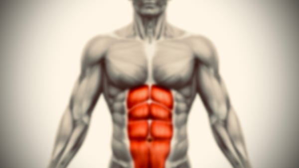Why You Have A Six Pack (and not one massive ab)